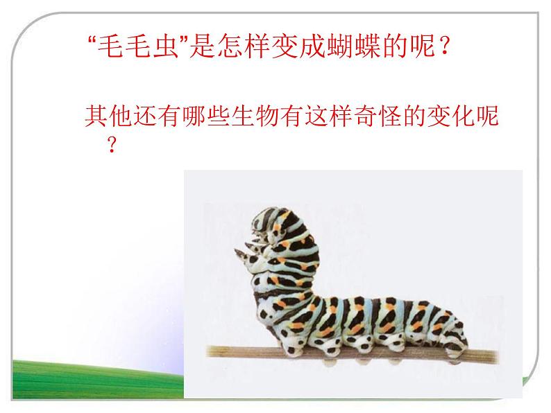 苏教版八年级下册生物 21.3昆虫的生殖与发育 课件03