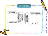 苏教版八年级下册生物 24.2关注生物技术  课件