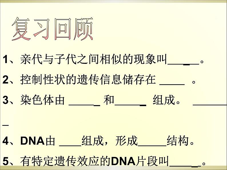 苏教版八年级下册生物 22.2人的性状和遗传 课件02