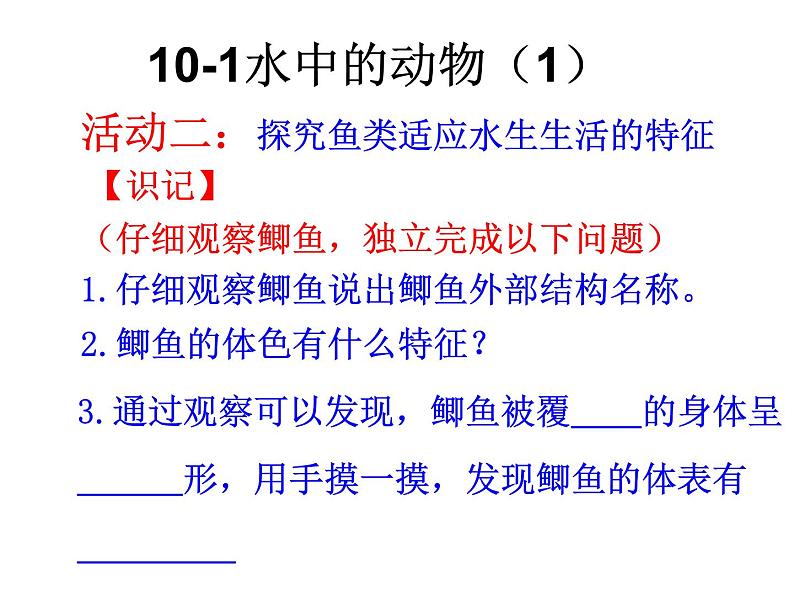 苏科版七年级下册生物 10.1水中的动物 课件05