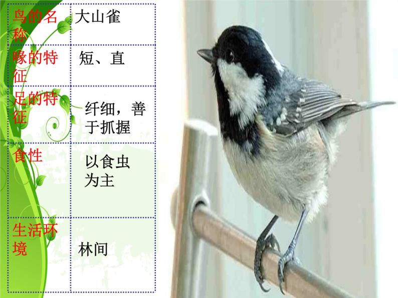 苏科版七年级下册生物 12.1鸟类 课件06