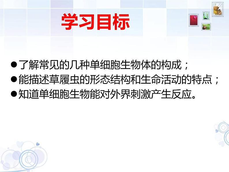 苏科版七年级下册生物 9.3单细胞的生物体 课件第2页