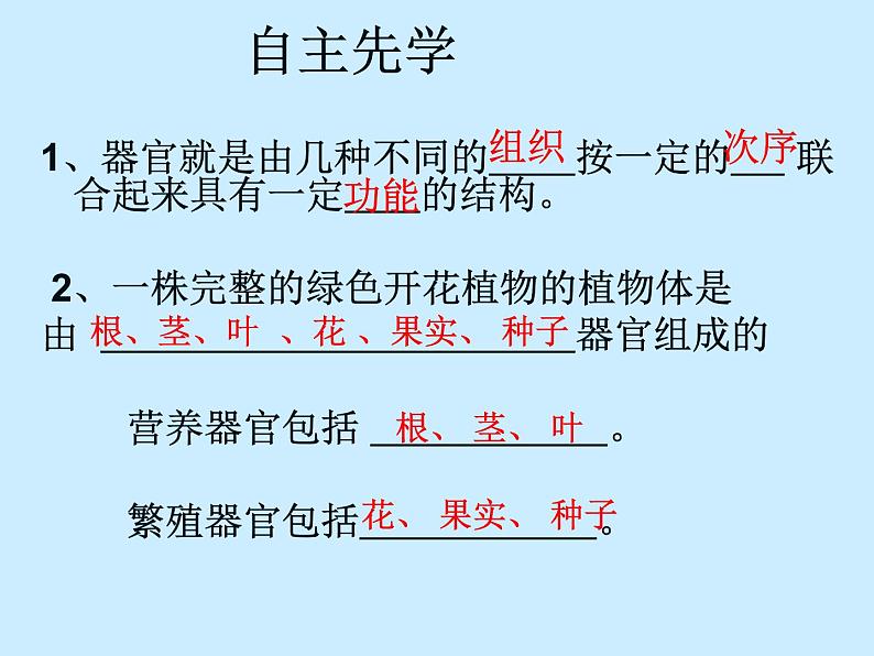 苏科版七年级下册生物 9.1植物体的组成 课件第2页