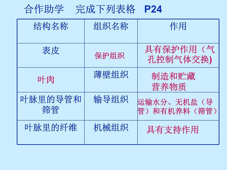 苏科版七年级下册生物 9.1植物体的组成 课件第7页