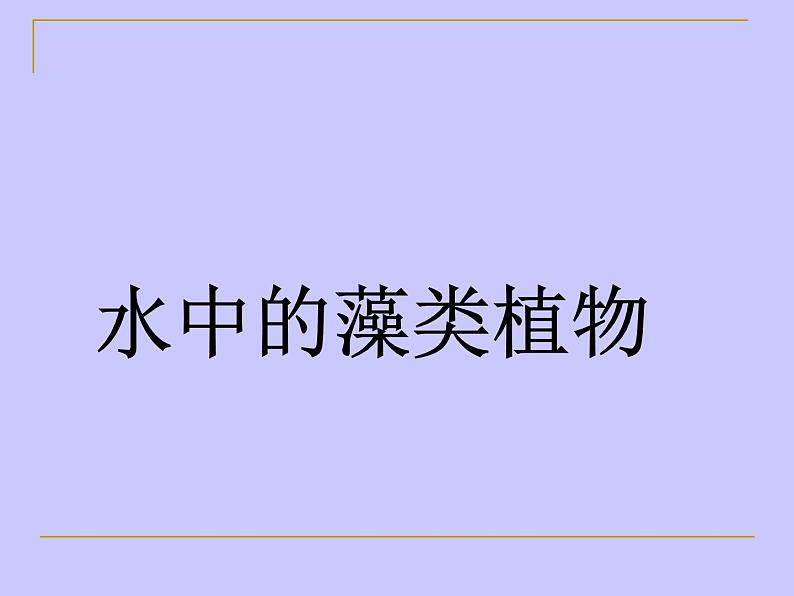 苏科版七年级下册生物 10.2水中的藻类植物 课件01