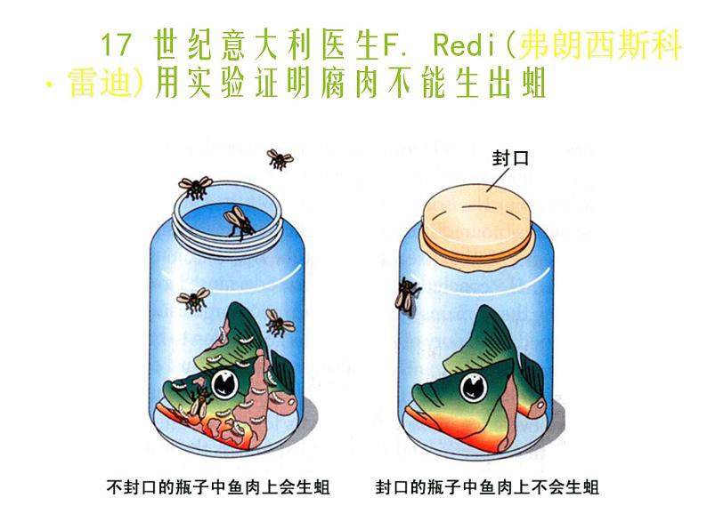 苏科版八年级下册生物 23.1生命的起源 课件07