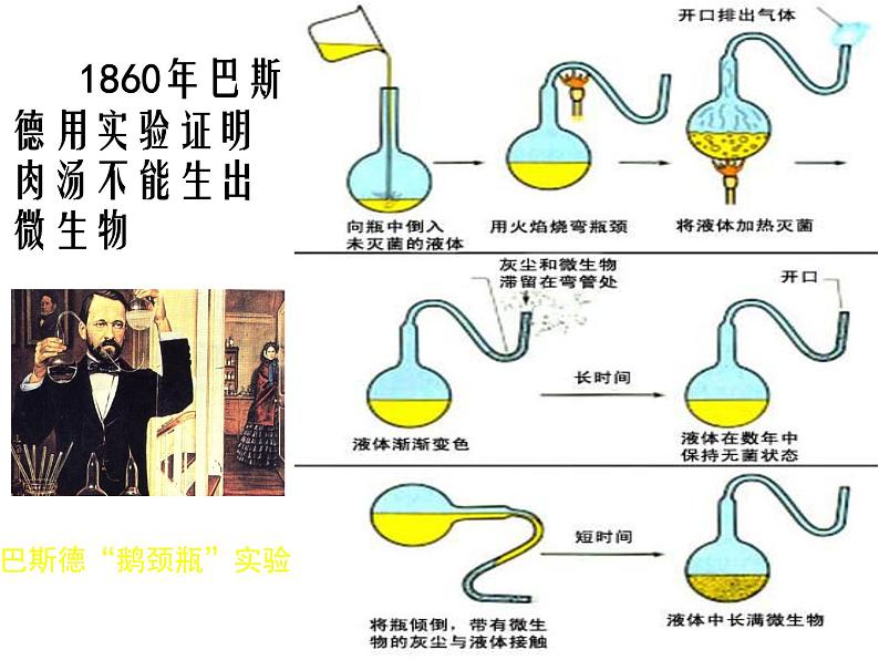 苏科版八年级下册生物 23.1生命的起源 课件08