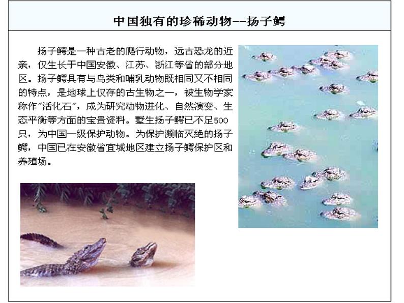 苏科版八年级下册生物 26.2保护生物多样性 课件第7页