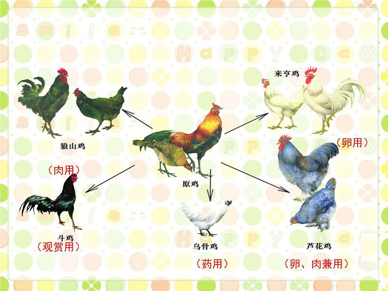 苏科版八年级下册生物 22.2生物的变异 课件第3页