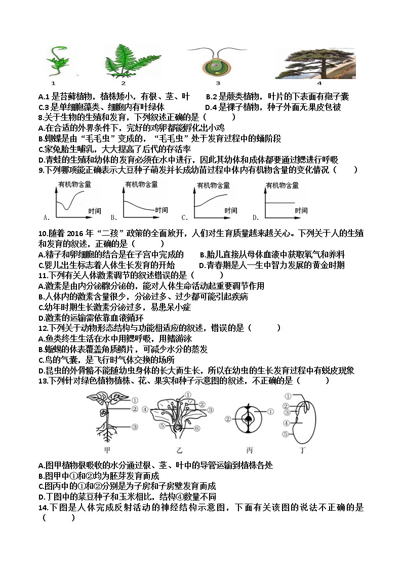 山东省济南市天桥区泺口实验中学2021---2022学年八年级下学期期中考试生物试题（含答案）第2页