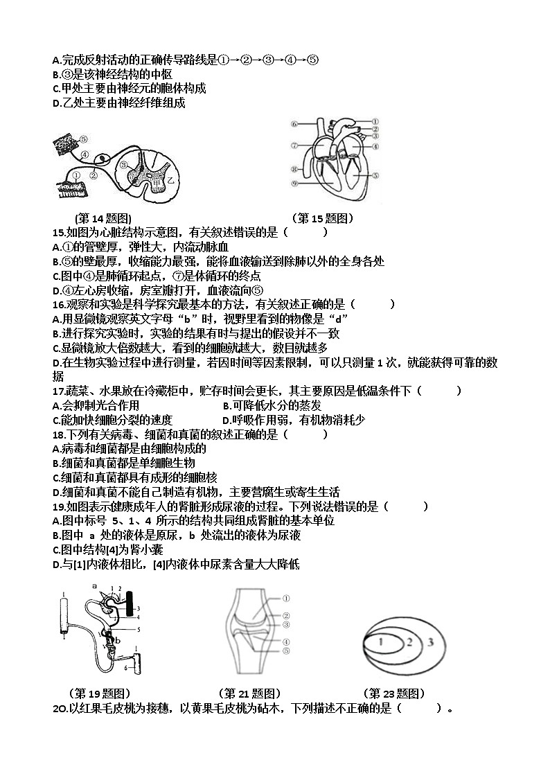 山东省济南市天桥区泺口实验中学2021---2022学年八年级下学期期中考试生物试题（含答案）第3页