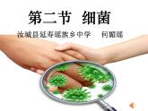 初中生物 人教课标版 八年级上册 《细菌》PPT 课件