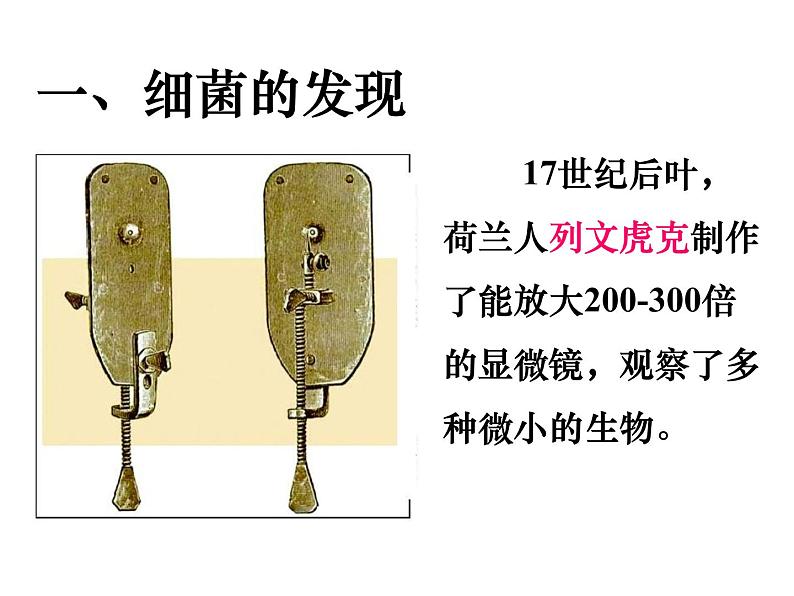 初中生物 人教课标版 八年级上册 《细菌》PPT 课件第5页