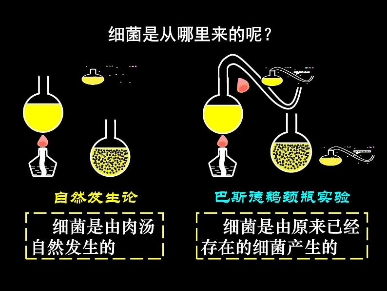 初中生物 人教课标版 八年级上册 《细菌》PPT 课件第6页