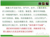 初中生物 人教课标版 八年级上册 第二节　细菌 课件