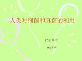 初中生物 人教课标版 八年级上册 第二节　人类对细菌和真菌的利用 课件