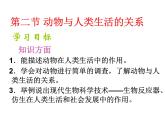 初中生物 鲁科课标版 八年级上册 第二节 动物与人类生活的关系 教学 课件