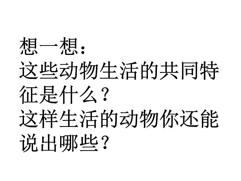 初中生物 人教课标版 八年级上册 第三节　社会行为 课件06