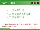 初中生物 人教课标版 八年级上册 第二节　细菌 课件