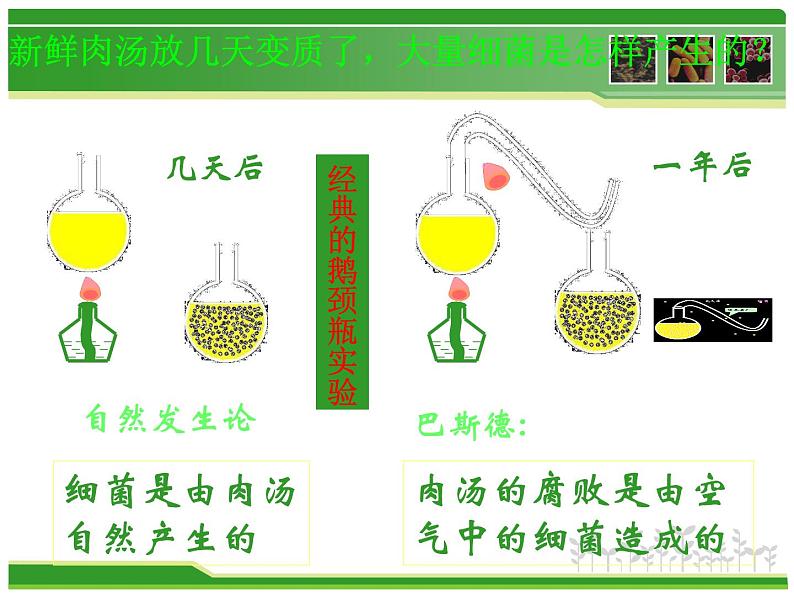 初中生物 人教课标版 八年级上册 第二节　细菌 课件05