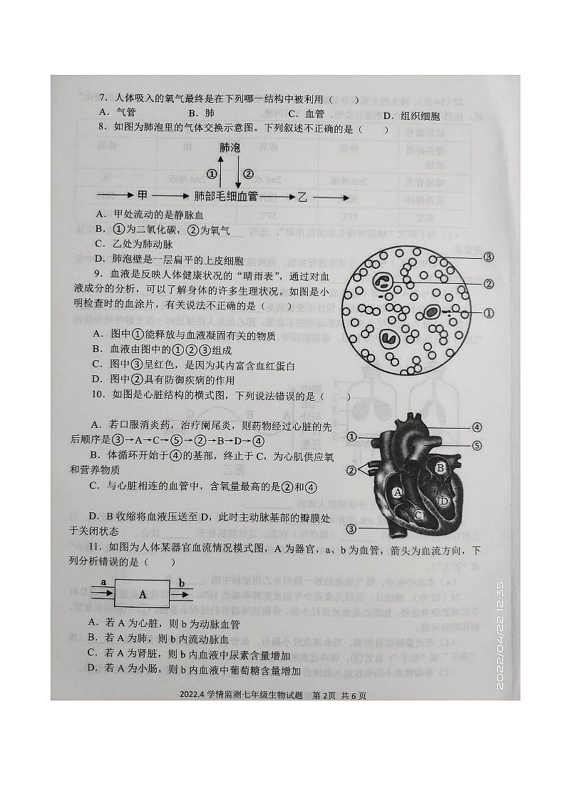 山东省济宁市金乡县2021-2022学年下学期七年级下册期中考试生物试题(含答案)02