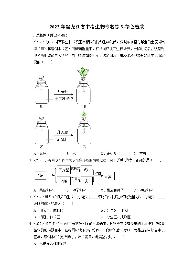 2022年黑龙江省中考生物二轮专题练3-绿色植物第1页