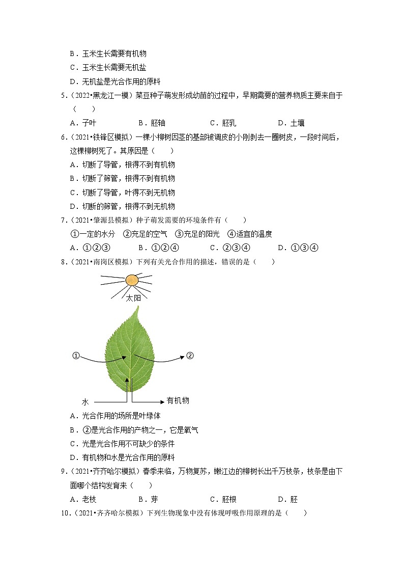 2022年黑龙江省中考生物二轮专题练3-绿色植物第2页