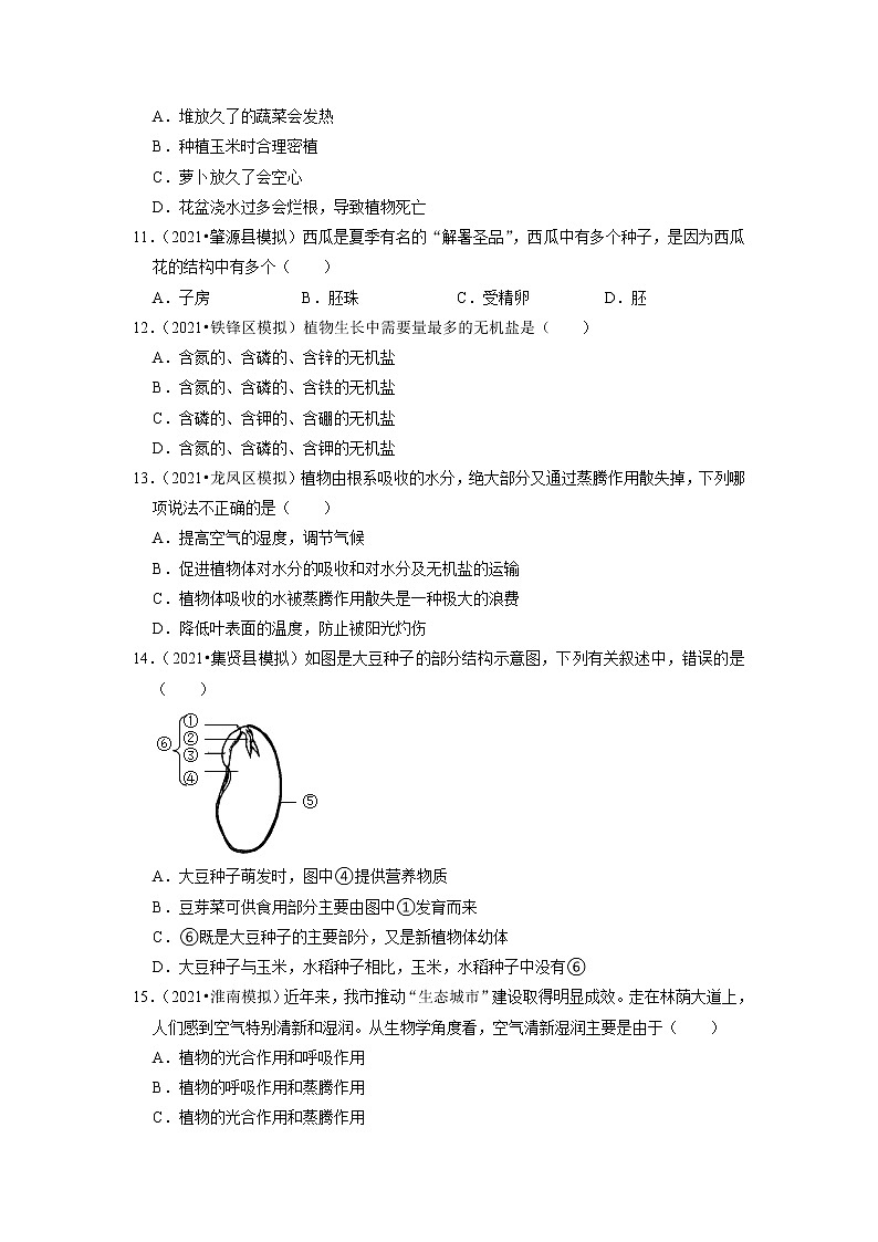 2022年黑龙江省中考生物二轮专题练3-绿色植物第3页