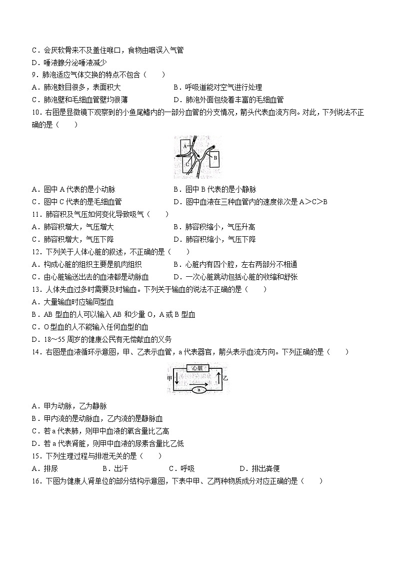 2022年河北省石家庄市新乐市七年级下学期期中生物试题第2页