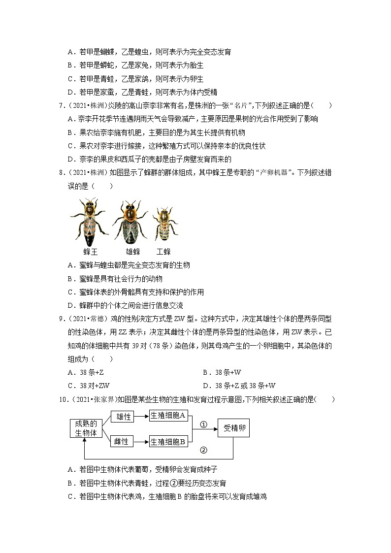 2022年湖南省中考生物二轮专题练6-生物的生殖、发育与遗传第2页