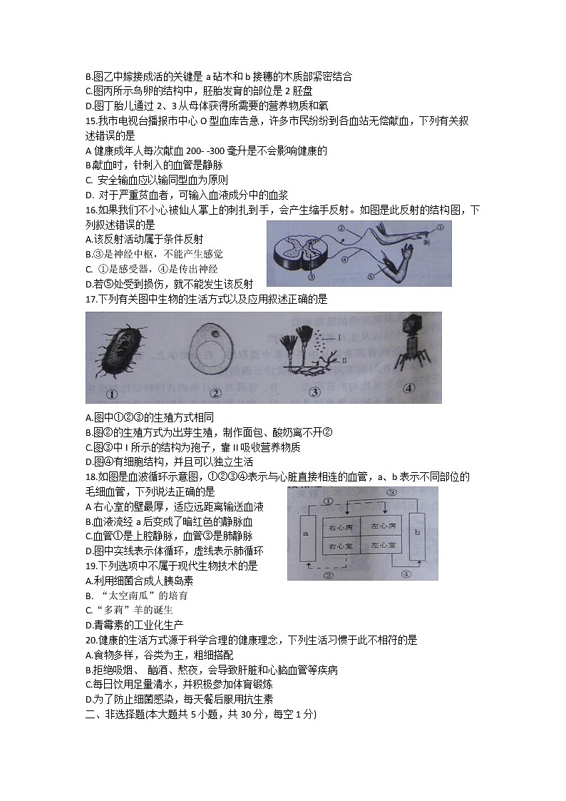 2022年河南省商丘市柘城县八年级下学期期中考试生物试题03