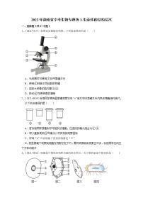 2022年湖南省中考生物二轮专题练1-生命体的结构层次