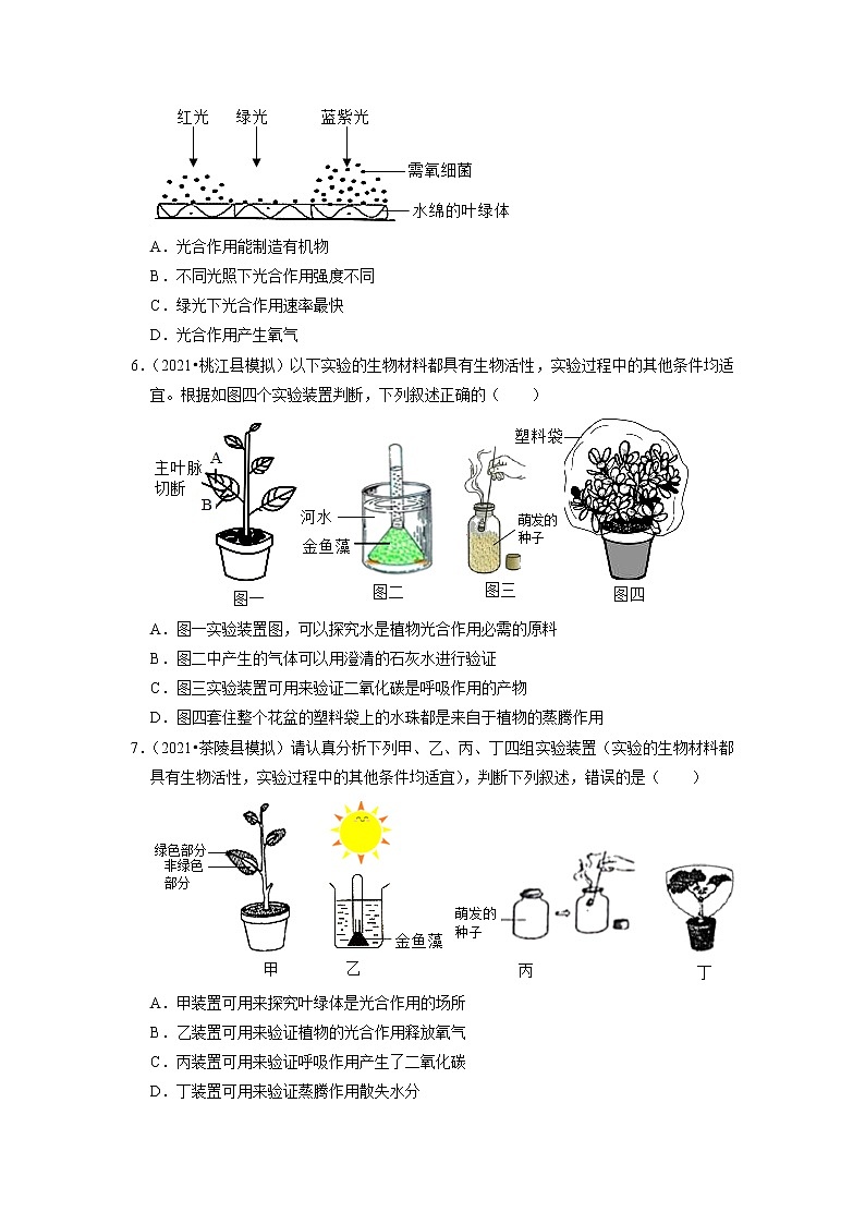 2022年湖南省中考生物二轮专题练10-生物实验02