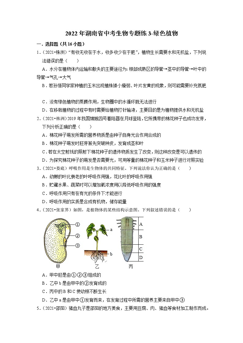 2022年湖南省中考生物二轮专题练3-绿色植物01
