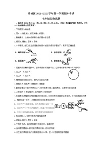 2022年广东省清远市清城区七年级上学期期末生物试题