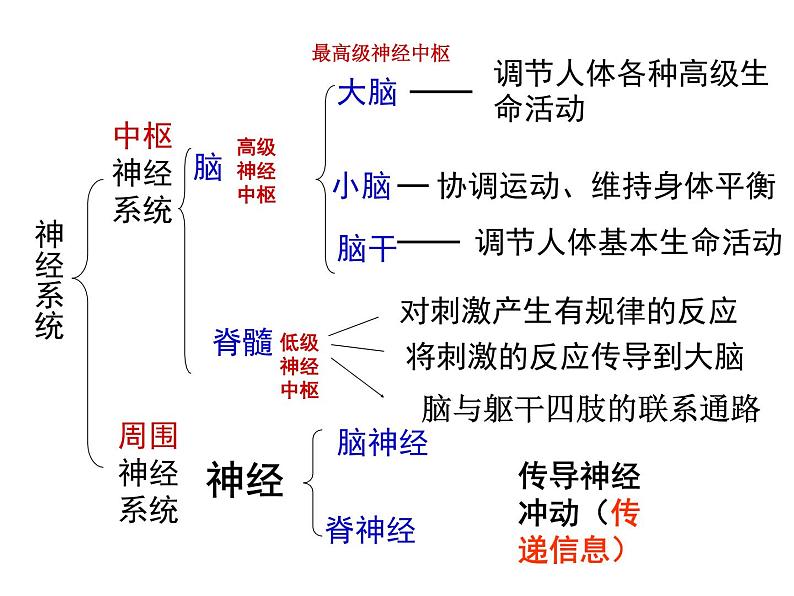 京改版生物七年级下册 8.2 神经调节的基本方式  课件第1页