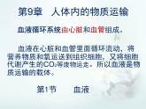 北师大版七下生物 9.1血液 课件