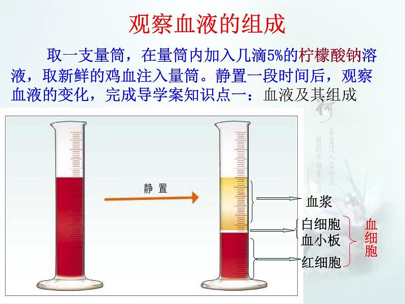 北师大版七下生物 9.1血液 课件第3页