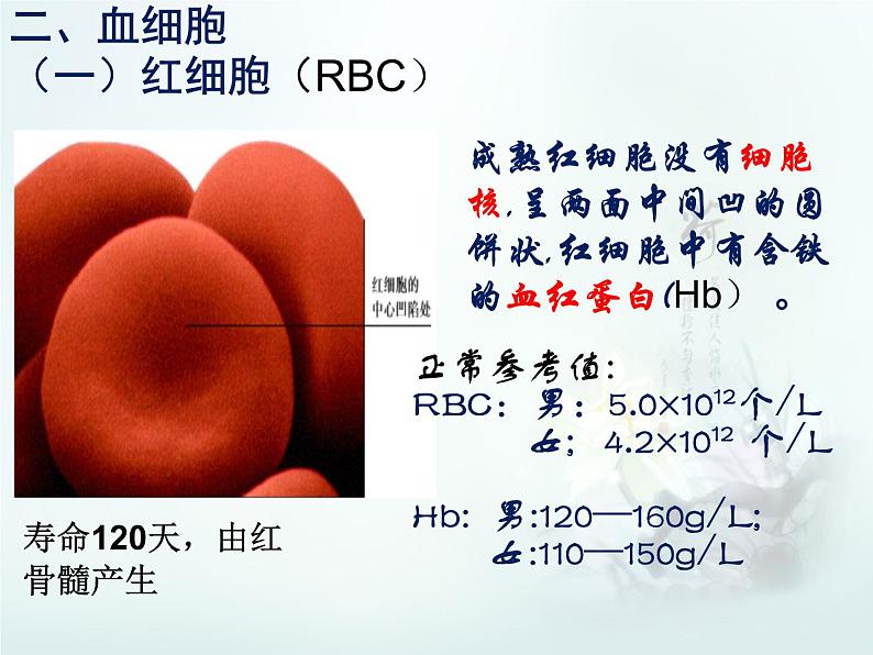 北师大版七下生物 9.1血液 课件第6页