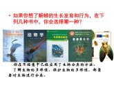 北师大版八下生物 22.1生物的分类 课件