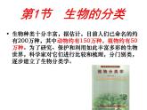 北师大版八下生物 22.1生物的分类 课件
