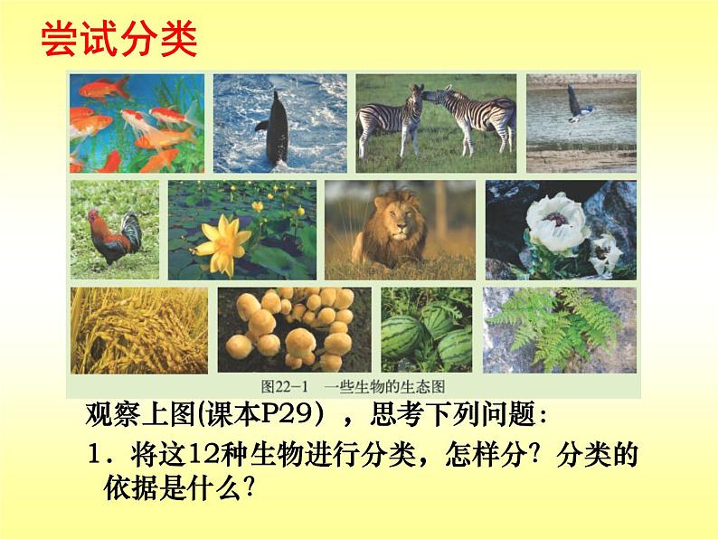 北师大版八下生物 22.1生物的分类 课件06