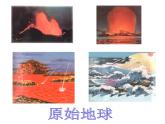 北师大版八下生物 21.1生命的起源 课件