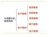 北师大版八下生物 22.4动物的主要类群 课件