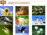 北师大版八下生物 22.4动物的主要类群 课件