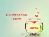 北师大版八下生物 23.1生物的生存依赖一定的环境 课件