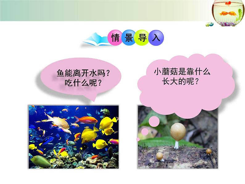 北师大版八下生物 23.1生物的生存依赖一定的环境 课件02