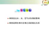 北师大版八下生物 23.1生物的生存依赖一定的环境 课件