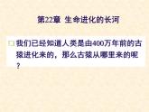 北师大版八下生物 21.1生命的起源 课件