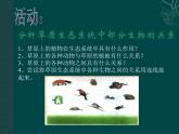北师大版八下生物 23.3生态系统的结构和功能 课件